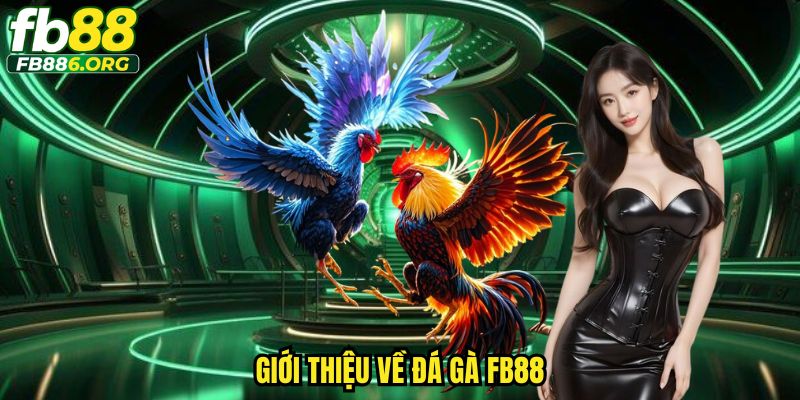 Đá Gà Fb88 - Sảnh Cược Đỉnh Cao Cho Tín Đồ Mê Đá Gà - JEXON