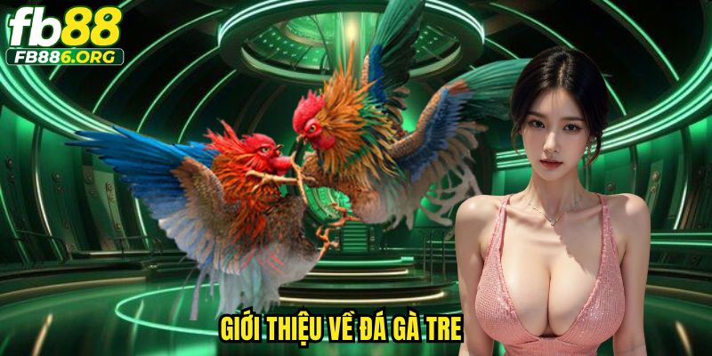 Đá Gà Tre FB88 - Trải Nghiệm Cá Cược Sinh Động, Đã Tay - JEXON