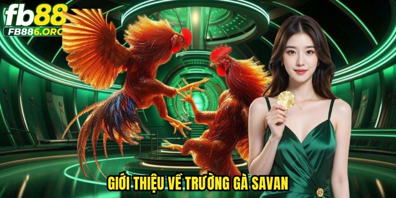 Trường Gà Savan FB88 - Thiên Đường Cá Cược Trải Nghiệm Đỉnh Cao - JEXON