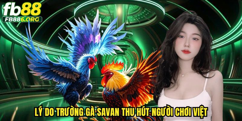 Trường Gà Savan FB88 - Thiên Đường Cá Cược Trải Nghiệm Đỉnh Cao - JEXON