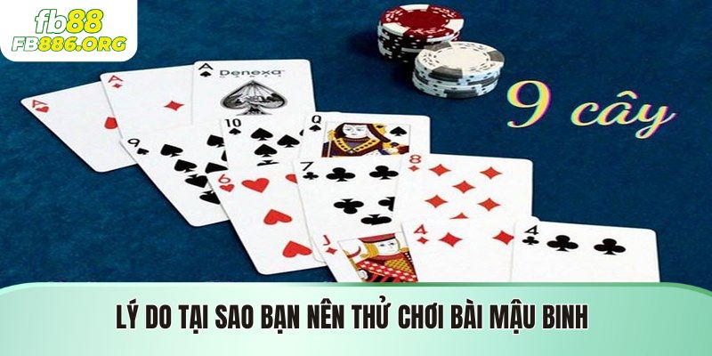 Bài Mậu Binh FB88 - Hướng Dẫn Chi Tiết Và Chiến Thuật Chơi - JEXON