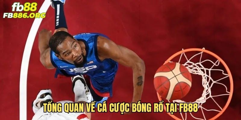 Cá cược bóng rổ - Hướng dẫn chi tiết từ A đến Z - JEXON