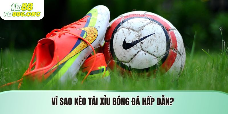 Kèo Tài Xỉu Bóng Đá - Góc Nhìn Chuyên Sâu & Chiến Lược Tối Ưu - JEXON