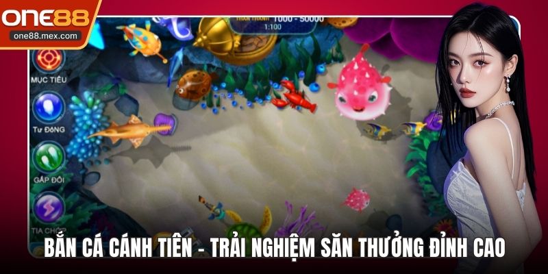 Xóc Đĩa Online - Sân Chơi Giải Trí Trực Tuyến Đẳng Cấp - JEXON