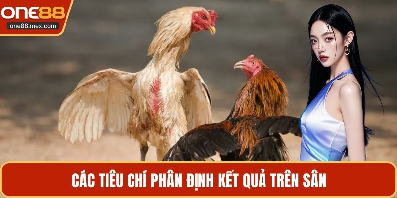 Đá Gà Cựa Sắt - Tìm Hiểu Chi Tiết Về Trận Đấu Kịch Tính - JEXON