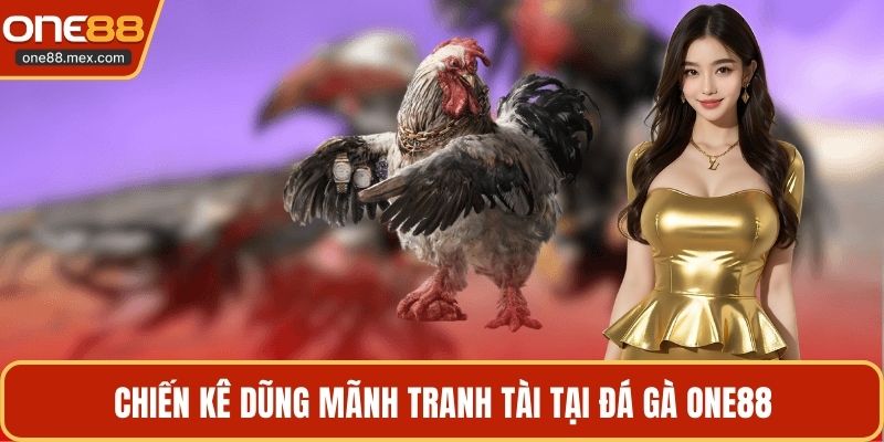Đá Gà ONE88 - Sảnh Cá Cược Kê Chiến Đỉnh Cao Nhất 2026 - JEXON