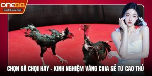 Tin Tức - ONE88 - JEXON