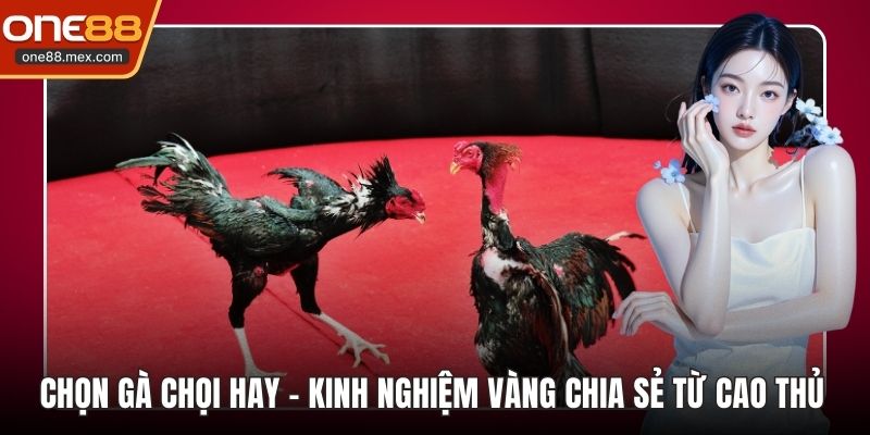 Nổ Hũ PG - Sảnh Game Đổi Thưởng Đỉnh Cao Tại Nhà Cái - JEXON
