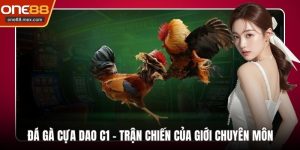Tin Tức - ONE88 - JEXON