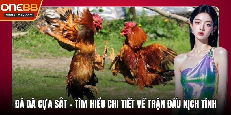Bắn Cá Xèng - Điểm Giải Trí Đổi Thưởng Hàng Đầu 2026 - JEXON