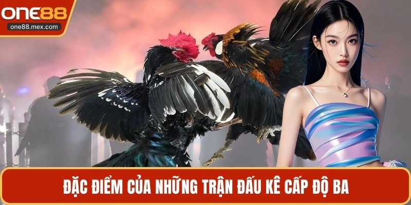 Đá Gà C2 C3 C4 - Theo Dõi Các Trận Đấu Kịch Tính Nhất - JEXON