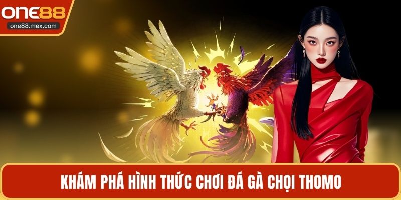 Đá Gà Chọi Thomo - Đấu Trường Trực Tuyến Hấp Dẫn Nhất - JEXON