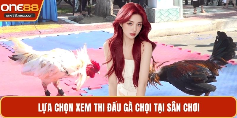 Trực Tiếp Đá Gà 167 - Khám Phá Các Trận Đấu Hấp Dẫn - JEXON
