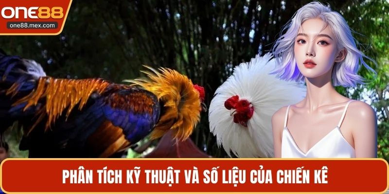 Đá Gà C2 C3 C4 - Theo Dõi Các Trận Đấu Kịch Tính Nhất - JEXON