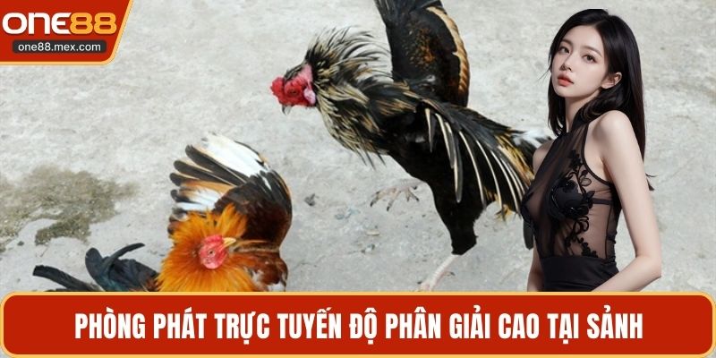 Đá Gà Dao Philippines - Sân Chơi Kịch Tính Tại ONE88 - JEXON