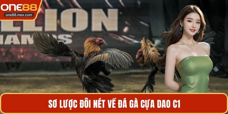 Đá Gà Cựa Dao C1 - Trận Chiến Của Giới Chuyên Môn - JEXON