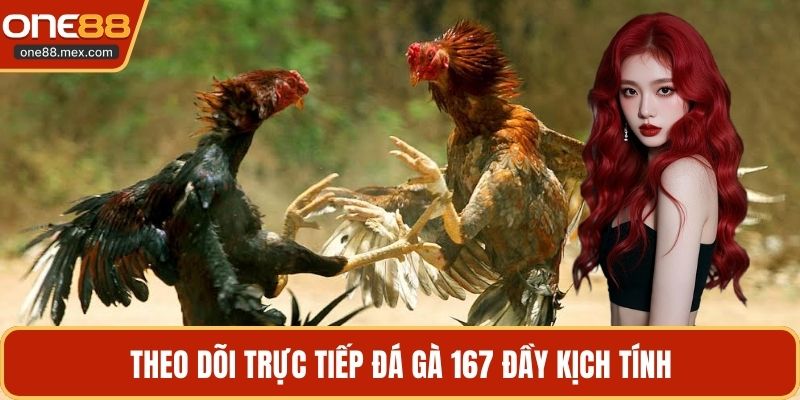 Trực Tiếp Đá Gà 167 - Khám Phá Các Trận Đấu Hấp Dẫn - JEXON