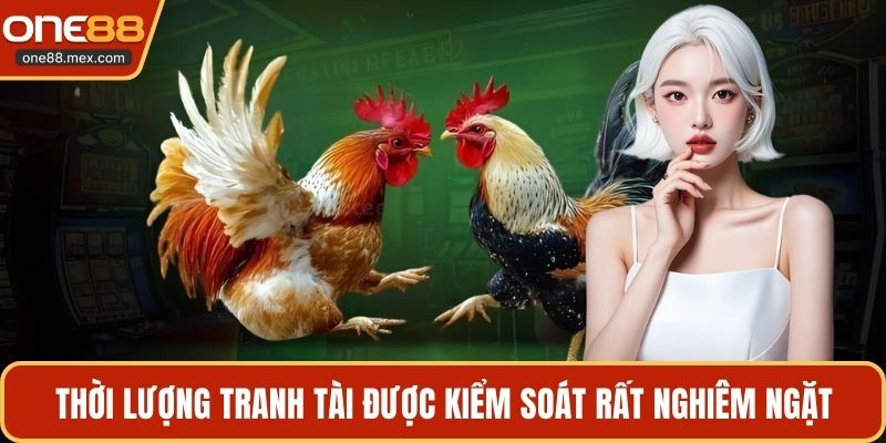Đá Gà Cựa Dao C1 - Trận Chiến Của Giới Chuyên Môn - JEXON