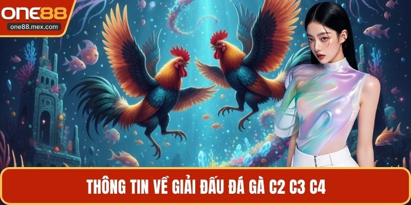 Đá Gà C2 C3 C4 - Theo Dõi Các Trận Đấu Kịch Tính Nhất - JEXON